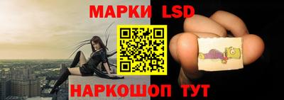ALPHA PVP Гатчина