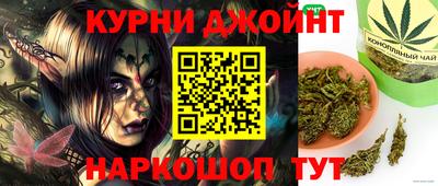 ALPHA PVP Гатчина