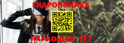 ALPHA PVP Гатчина