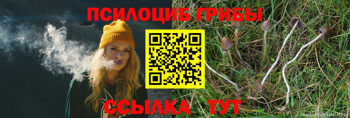 Галлюциногенные грибы ЛСД Ирбит