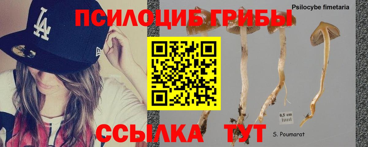 Галлюциногенные грибы Psilocybe  Галлюциногенные грибы MAGIC MUSHROOMS  Вход с VPN  Ирбит 